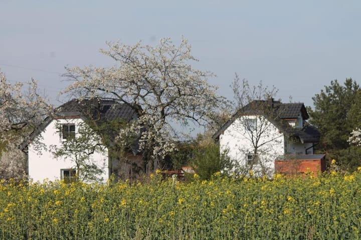 Domek W Bialej - Mak Marcinowice ภายนอก รูปภาพ